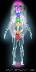 Виды диагностики #776384