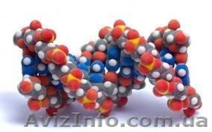 Тест ДНК (Генетическая экспертиза на отцовство,  родство) #781924