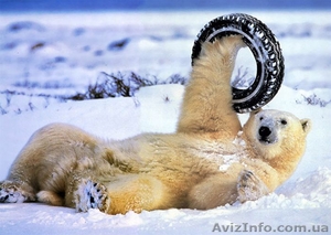 Ремонт колёс, удаление, ремонт шишек.разрывов. #796953