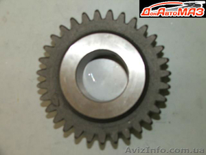 Шестерня заднего хода промежуточная  238-1701082  #793921