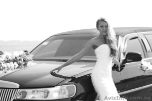 Видеосъемка свадьбы в высоком качестве! #791705