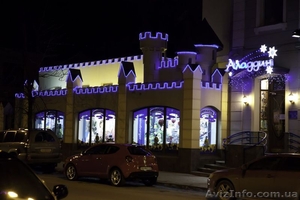 Световой шнур,  световая нить #793797