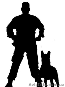 Дрессировка собак,  Дрессировка собак одесса ,  Дрессировка собак в Одессе цена,    #790265