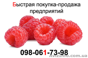 Продажа готовых ООО #789237