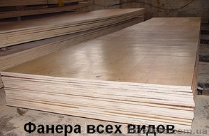 Фанера,  Фанера ламинированная,  фанера шлифованная,  фанера водостойкая #799130