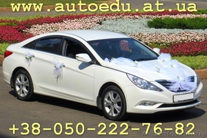 Аренда престижных автомобилей Донецк #788931