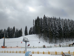 Новый год в Карпатах из  Запорожья #790532