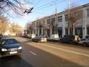 Элитное помещение для коммерческой деятельности в самом центре Луцка  #692853