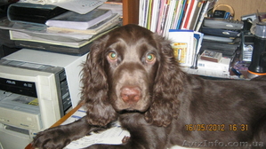 Всеукраинское бюро находок #788933