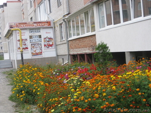 Срочно сдадим  в аренду помещение  для магазина-офиса или розничной торговли! #787498