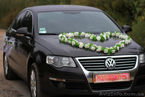 Автомобили на все случаи жизни #791872