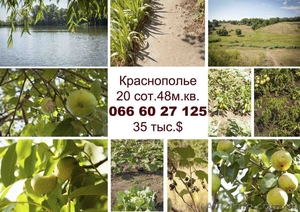 Дом Краснополье #783447