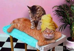 vасссаж общий классический #792136