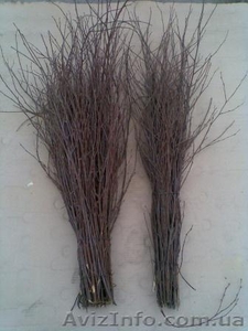Метла березовая вс,  1 сорт #799854