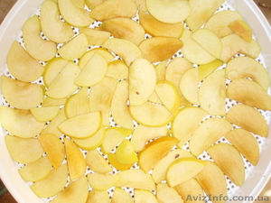 ЯБЛОКИ ИЗ ЭЛЕКТРОСУШКИ #784094