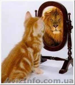 Психологический портрет #787263