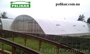 Теплицы под пленку и поликарбонат любой сложности в Днепропетровске #789242