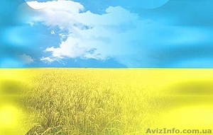 Перевод паспорта на украинский язык #795259