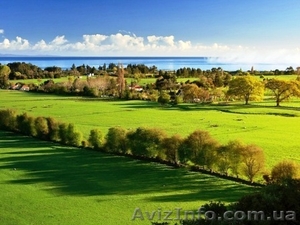 17соток-завод  Норд-недорого-срочно. #807390