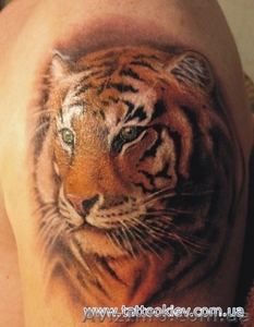 Салон татуировки в Киеве,  татуаж Киев,  удаление татуировок #813188