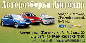Авторазборка в Житомире  #802145