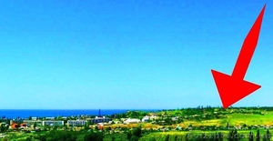 Земля с видом на море в Любимовке #622974