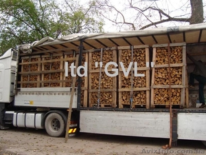 Куплю дрова колотые лиственных пород опт #805910