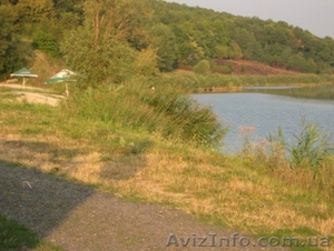 около 50 га водного фонда #807366