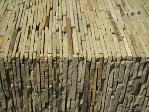 sashadinozavr11@mail.ru #800869