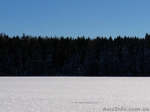 Лингвистический перевод документов и текстов с/на эстонский язык  #802627