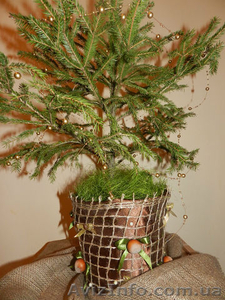 Живые елки ручной работы!! #806636