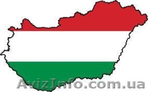 Перевод документов на венгерский/с венгерского языка  #813228