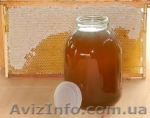 олрлоормормроонрапрарер #814536