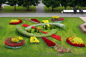 Курсы ландшафтного дизайна. самые лучшие популярные курсы на юге #812976