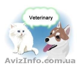 Ветеринарная клиника Харьков 067-730-57-37  #814844