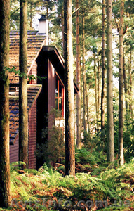 Лучший подарок к празднику – картина-обогреватель! #805741