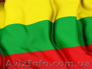 Перевод с/на литовский язык  #802606