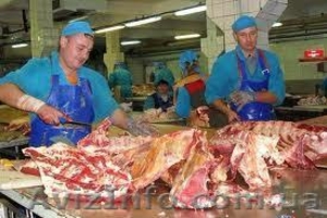 Разнорабочие на мясокомбинат. Польша #815199