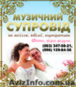 Музыканты и Ведущие #801074