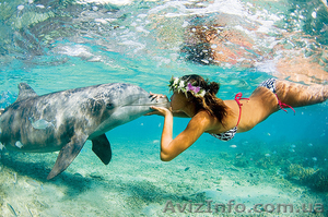 Горящие туры от туроператора 