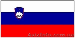 Переводим документы на словенский/с словенского на украинский  #813216