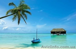 Сеть агентств Соната. Отдел в Харькове в ТЦ 