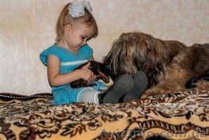 Щенки БРИАРА рожденные 15.11.2012 года #809221