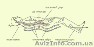 Вытяжка позвоночного столба #817052
