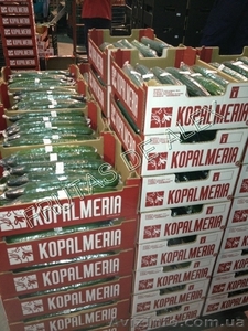 Томаты, огурец , перец, баклажаны из Испании #817083