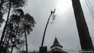 Аварійні дерева.Вирішення проблеми.(063)2372737 #817027