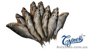 Рыба вяленая, копченая, присервы, консервы #831659