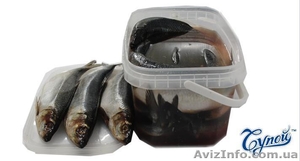 Рыба и рыбная продукция, вяленая конпченая, консервы присервы #831694