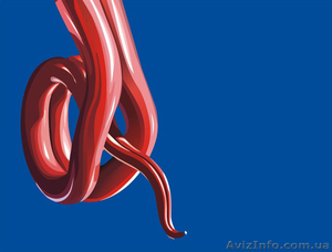 Персональный дизайнер #816046