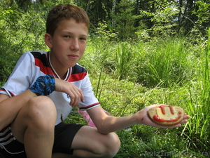 федерация боевых единоборств #829678